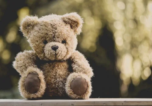 Ein Teddybär
